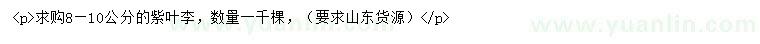 求購8-10公分紫葉李