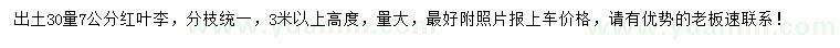 求購(gòu)30量7公分紅葉李