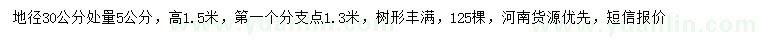 求購(gòu)地徑30公分處量5公分紅楓