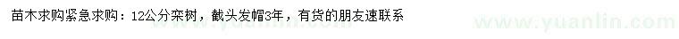 求購(gòu)12公分欒樹