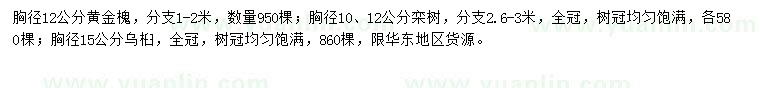 求購(gòu)黃金槐、欒樹(shù)、烏桕