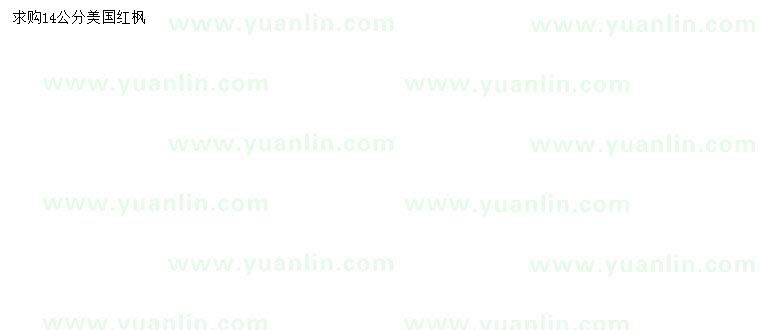 求購(gòu)14公分美國(guó)紅楓