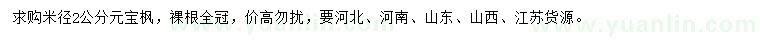 求購米徑2公分元寶楓