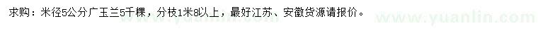 求購米徑5公分廣玉蘭