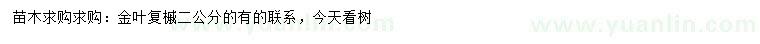 求購2公分金葉復槭