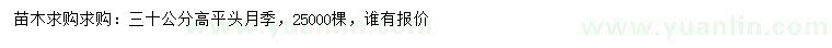 求購高30公分平頭月季