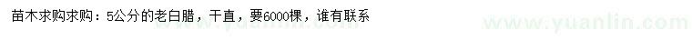 求購5公分老白臘