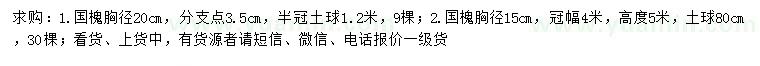 求購(gòu)胸徑15、20公分國(guó)槐