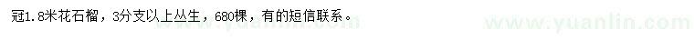 求購冠1.8米花石榴