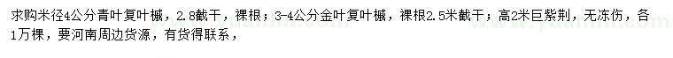 求購(gòu)青葉復(fù)葉槭、金葉復(fù)葉槭、巨紫荊