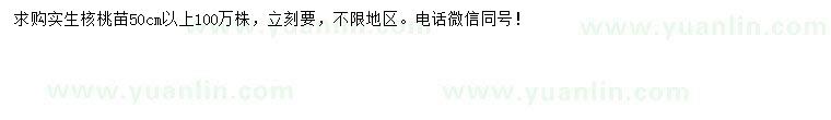 求購50公分以上核桃苗