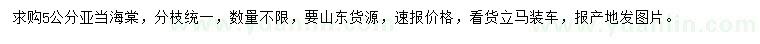 求購5公分亞當(dāng)海棠