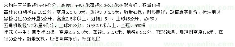 求購白玉蘭、高桿女貞、黑松等