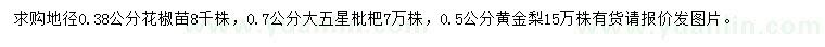 求購花椒苗、大五星枇杷、黃金梨