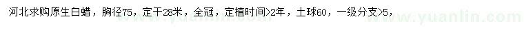 求購胸徑75公分白蠟