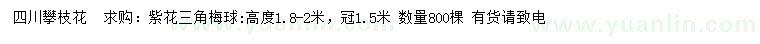 求購(gòu)高1.8-2米紫花三角梅球