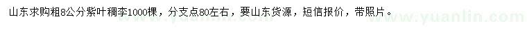 求購粗8公分紫葉稠李