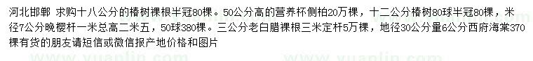 求購椿樹、側(cè)柏、晚櫻等