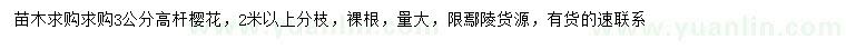 求購(gòu)3公分高桿櫻花