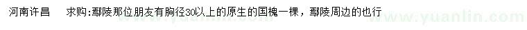 求購胸徑30公分以上國槐