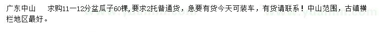 求購11-12公分盆瓜子