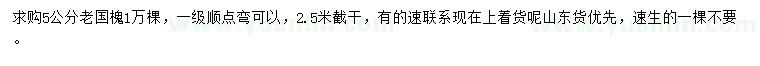 求購5公分老國槐