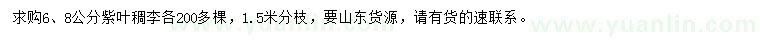 求購6、8公分紫葉稠李