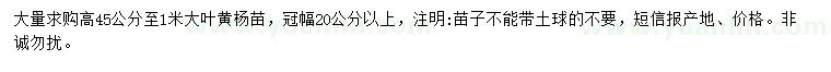 求購高45-100公分大葉黃楊苗