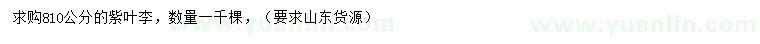 求購810公分紫葉李