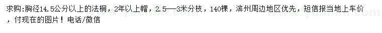 求購胸徑14.5公分以上法桐