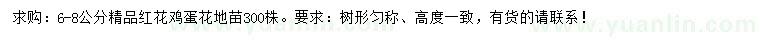 求購6-8公分紅花雞蛋花