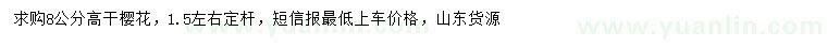 求購8公分櫻花