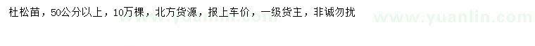 求購(gòu)高50公分以上杜松小苗