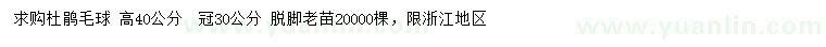 求購(gòu)高40公分杜鵑毛球