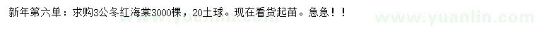 求購(gòu)3公分冬紅海棠