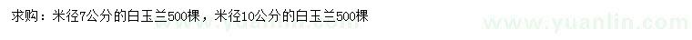 求購米徑7、10公分白玉蘭