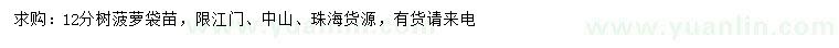 求購12公分樹菠蘿
