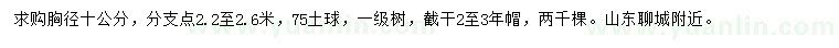 求購胸徑10公分國槐
