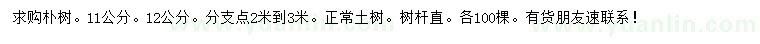 求購11、12公分樸樹