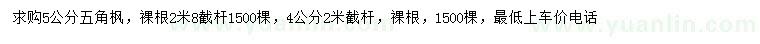 求購4、5公分五角楓