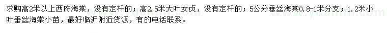 求購西府海棠、大葉女貞、垂絲海棠等