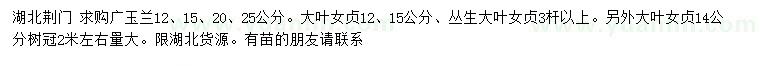 求購廣玉蘭、大葉女貞、叢生大葉女貞