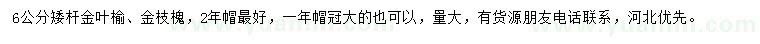 求購6公分金葉榆、金枝槐