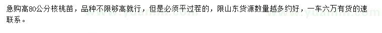 求購高80公分核桃苗