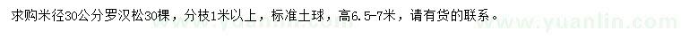 求購米徑30公分羅漢松