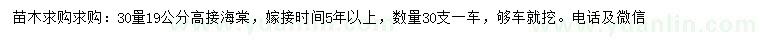 求購30量19公分高接海棠