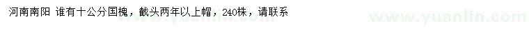 求購10公分國槐