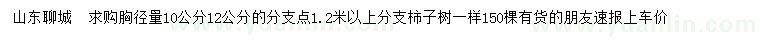 求購胸徑量10、12公分柿子樹