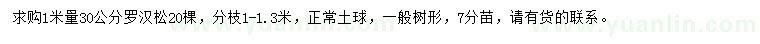 求購1米量30公分羅漢松