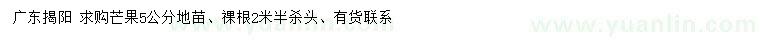 求購(gòu)5公分芒果地苗